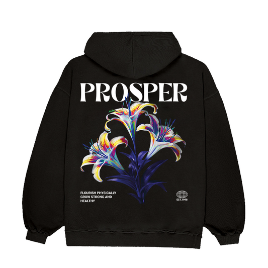 Prosper | Unisex Oversized Hoodie
